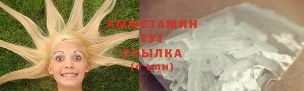 ГАЛЛЮЦИНОГЕННЫЕ ГРИБЫ Белокуриха