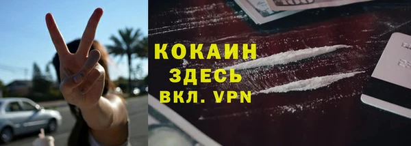 ГАЛЛЮЦИНОГЕННЫЕ ГРИБЫ Белокуриха