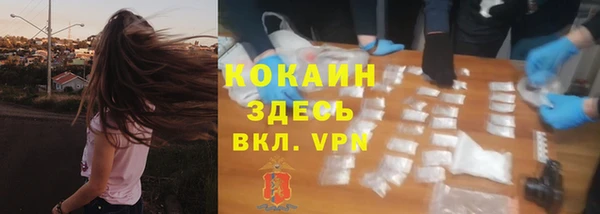 твердый Белоозёрский