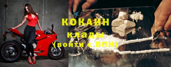 ГАЛЛЮЦИНОГЕННЫЕ ГРИБЫ Белокуриха