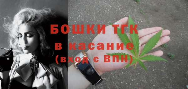 ГАЛЛЮЦИНОГЕННЫЕ ГРИБЫ Белокуриха