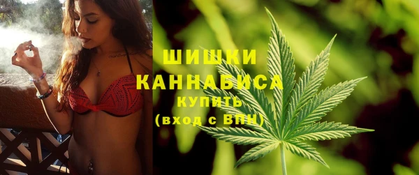 ГАЛЛЮЦИНОГЕННЫЕ ГРИБЫ Белокуриха