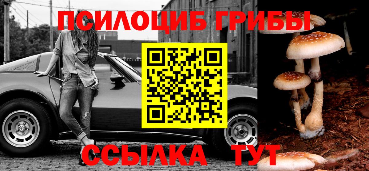 Галлюциногенные грибы Psilocybine cubensis Кушва