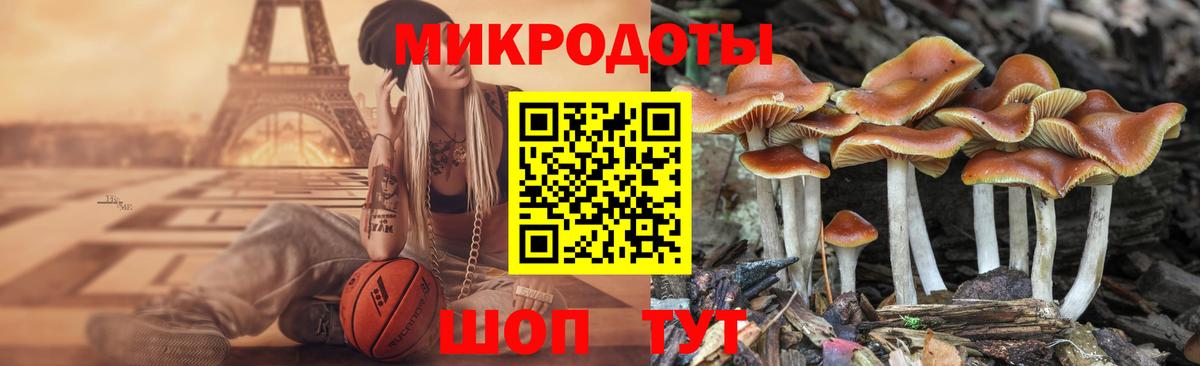 Галлюциногенные грибы Cubensis  Вход с VPN  Кушва  Галлюциногенные грибы Cubensis 
